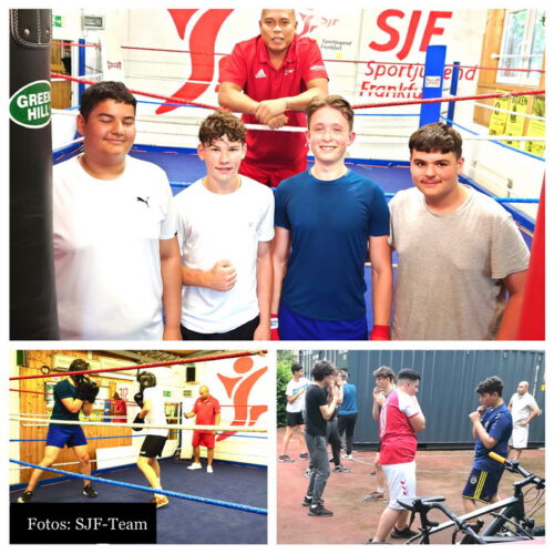 Vom Training erstmals in den Ring: Im Sportjugendzentrum Kuckucksnest startete im Juli das erste Sparrings-Training für zahlreiche Boxanfänger.